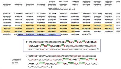 DAT1 Gene Methylation as an Epigenetic Biomarker in Attention Deficit Hyperactivity Disorder: A Commentary